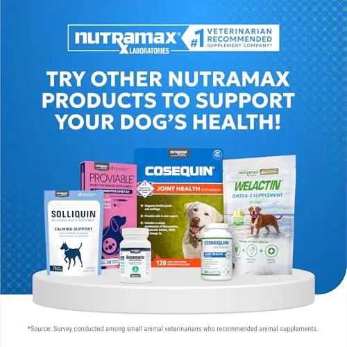 Nutramax Cosequin Elements Dog Joint Health Supplement with Glucosamine, Green Lipped Mussel, Omega-3s, Eggshell Membrane, Hyaluronic Acid, & Postbiotics, 75 Tasty Chewable Tablets for Dogs - Maple Wellness Supplements