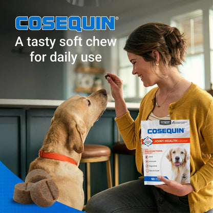 Nutramax Cosequin Joint Health Supplement with Multifunctional Support for Dogs, Soft Chews with Glucosamine, Chondroitin, Omega-3s, and Postbiotics, 90 Count - Maple Wellness Supplements