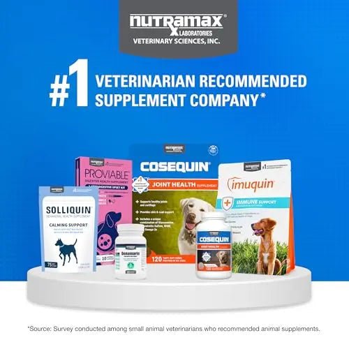 Nutramax Cosequin Joint Health Supplement with Multifunctional Support for Dogs, Soft Chews with Glucosamine, Chondroitin, Omega-3s, and Postbiotics, 90 Count - Maple Wellness Supplements