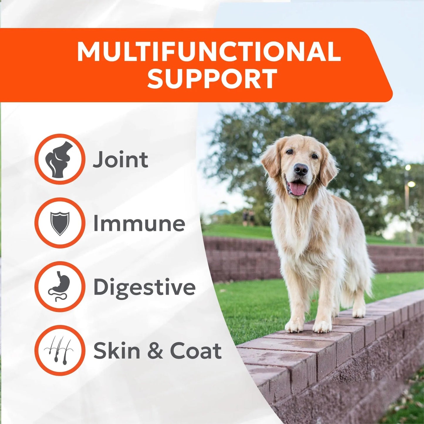 Nutramax Cosequin Joint Health Supplement with Multifunctional Support for Dogs, Soft Chews with Glucosamine, Chondroitin, Omega-3s, and Postbiotics, 90 Count - Maple Wellness Supplements