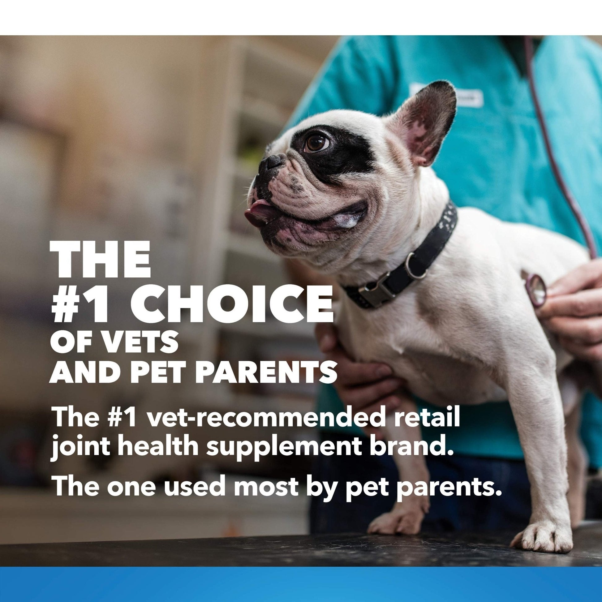 Nutramax Laboratories Cosequin Maximum Strength Joint Health Supplement for Dogs - Maple Wellness Supplements
