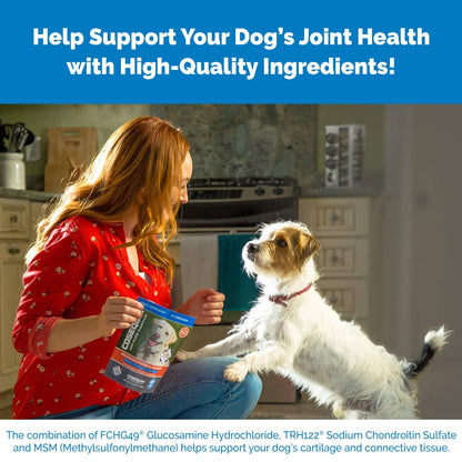 Nutramax Laboratories Cosequin Maximum Strength Joint Health Supplement for Dogs - Maple Wellness Supplements
