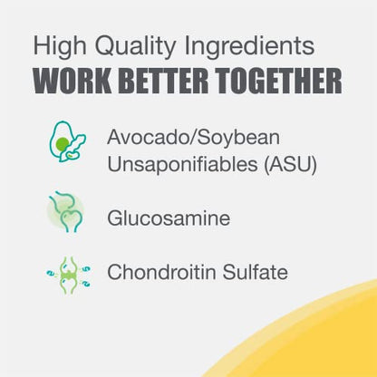 Nutramax Laboratories Dasuquin with MSM Joint Health Supplement for Large Dogs - Maple Wellness Supplements