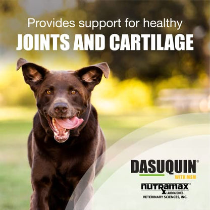 Nutramax Laboratories Dasuquin with MSM Joint Health Supplement for Large Dogs - Maple Wellness Supplements