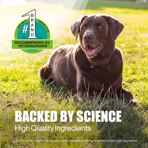 Nutramax Laboratories Dasuquin with MSM Joint Health Supplement for Large Dogs - Maple Wellness Supplements