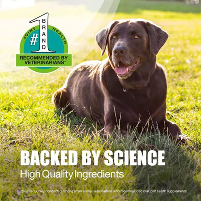 Nutramax Laboratories Dasuquin with MSM Joint Health Supplement for Large Dogs - Maple Wellness Supplements