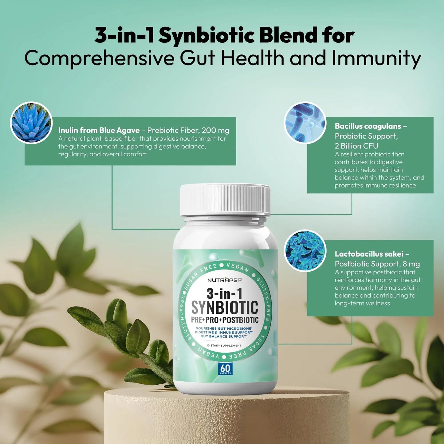 NutraPep Synbiotics Probiotic Prebiotic Postbiotic - Daily Gut Health Support with Pre Pro & Post Biotics for Men Women - Digestive & Immune Support Balance Synbiotic Supplement - Vegan Gluten Free - Maple Wellness Supplements