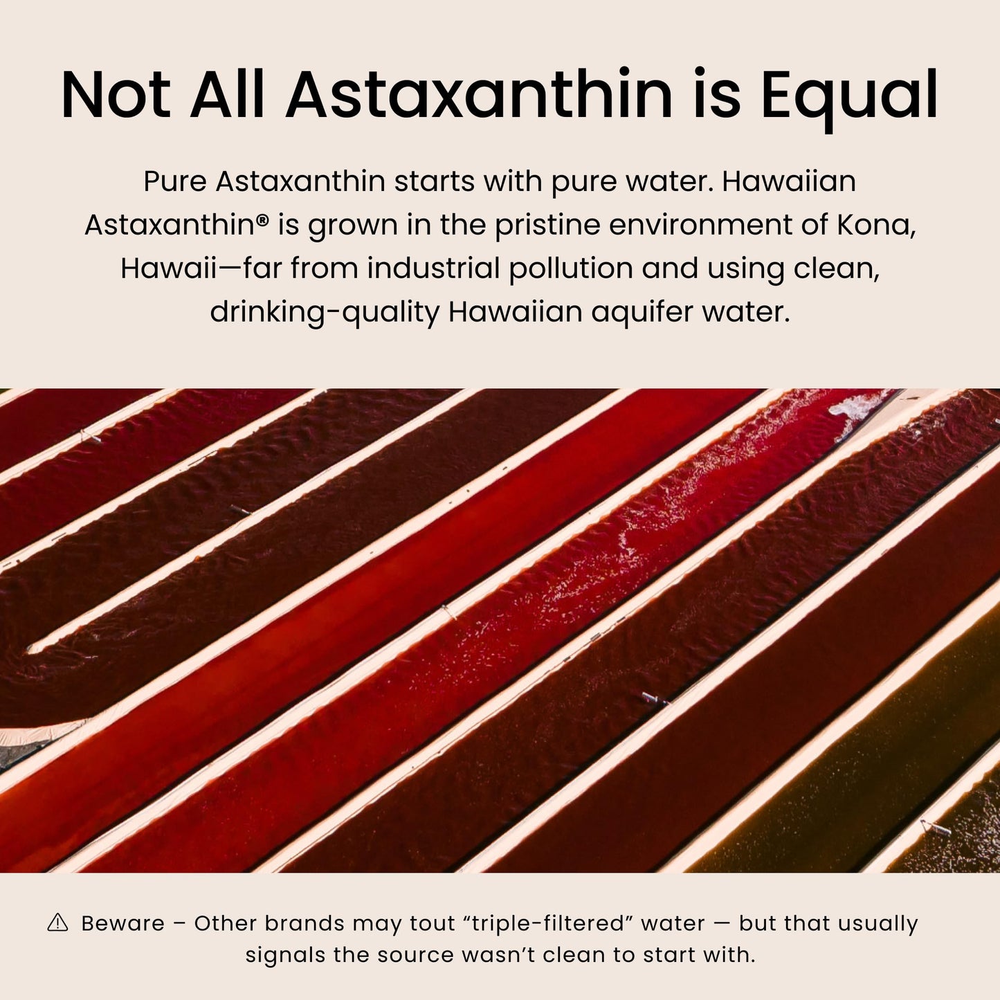 Nutrex Hawaii BioAstin Hawaiian Astaxanthin - 12mg, 90 Softgels - Farm-Direct Premium Antioxidant Supplement to Support Eye, Skin - Maple Wellness Supplements