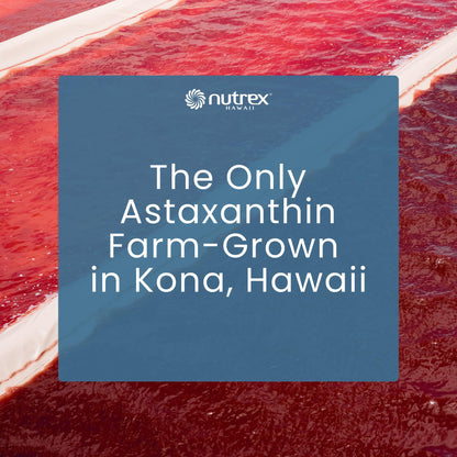 Nutrex Hawaii BioAstin Hawaiian Astaxanthin - 4mg, 60 Softgels - Farm-Direct Premium Antioxidant Supplement to Support Eye, Skin, Joint & Immune System Health - Non-GMO & Gluten-Free - Maple Wellness Supplements