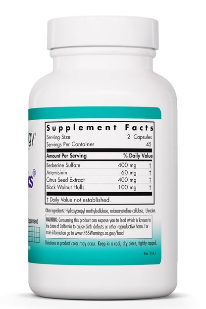 Nutricology TriBiotics - Berberine Artemisinin Botanical Blend - Gastrointestinal Support - Hypoallergenic - 45 Servings - 90 Capsules - Maple Wellness Supplements
