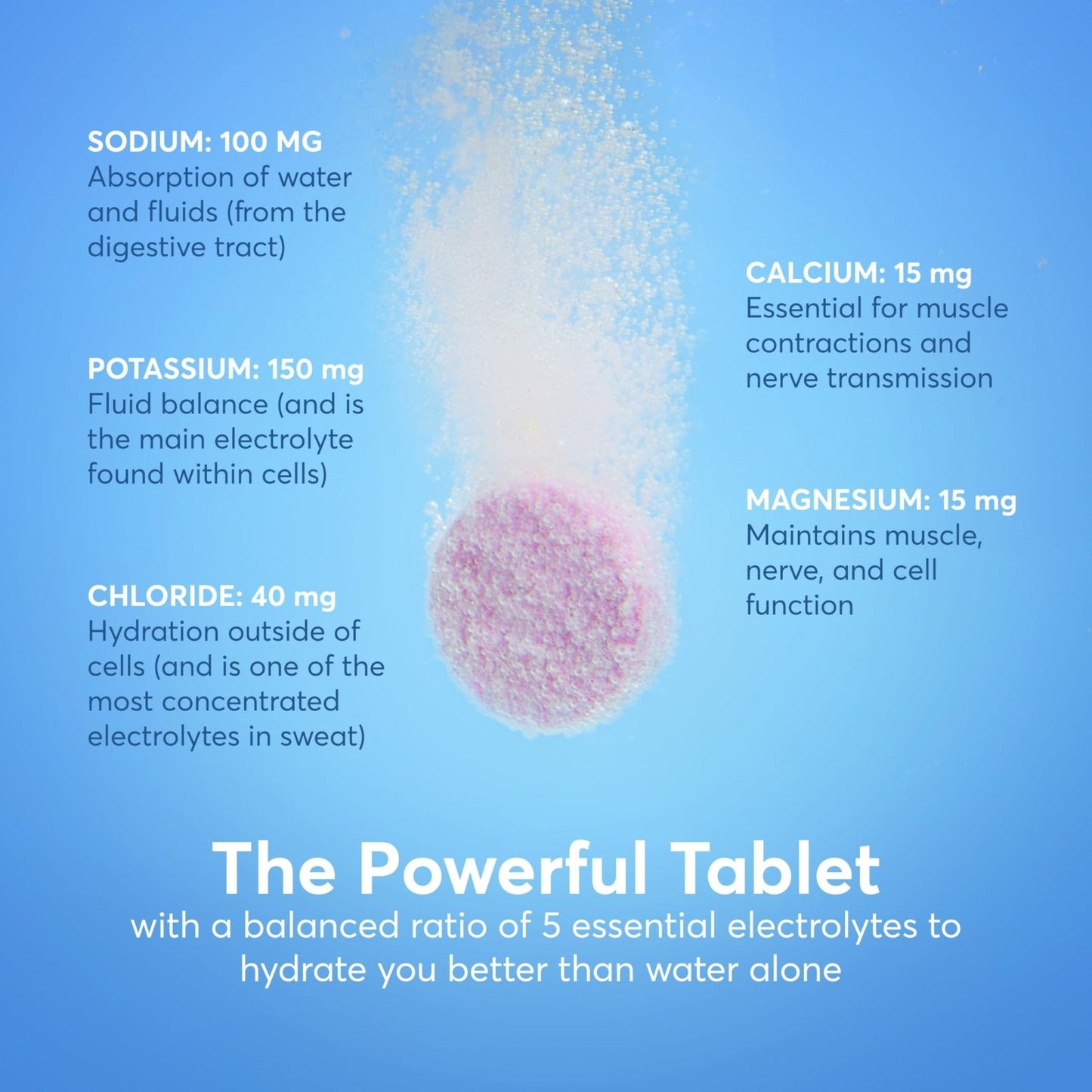 Nuun Immunity Electrolyte Tablets with Vitamin D, C, E, & A, Ginger, Elderberry, Magnesium & 4 Other Essential Electrolytes, Vegan, Blueberry Tangerine & Orange Citrus, 4 Pack (40 Servings Total) - Maple Wellness Supplements