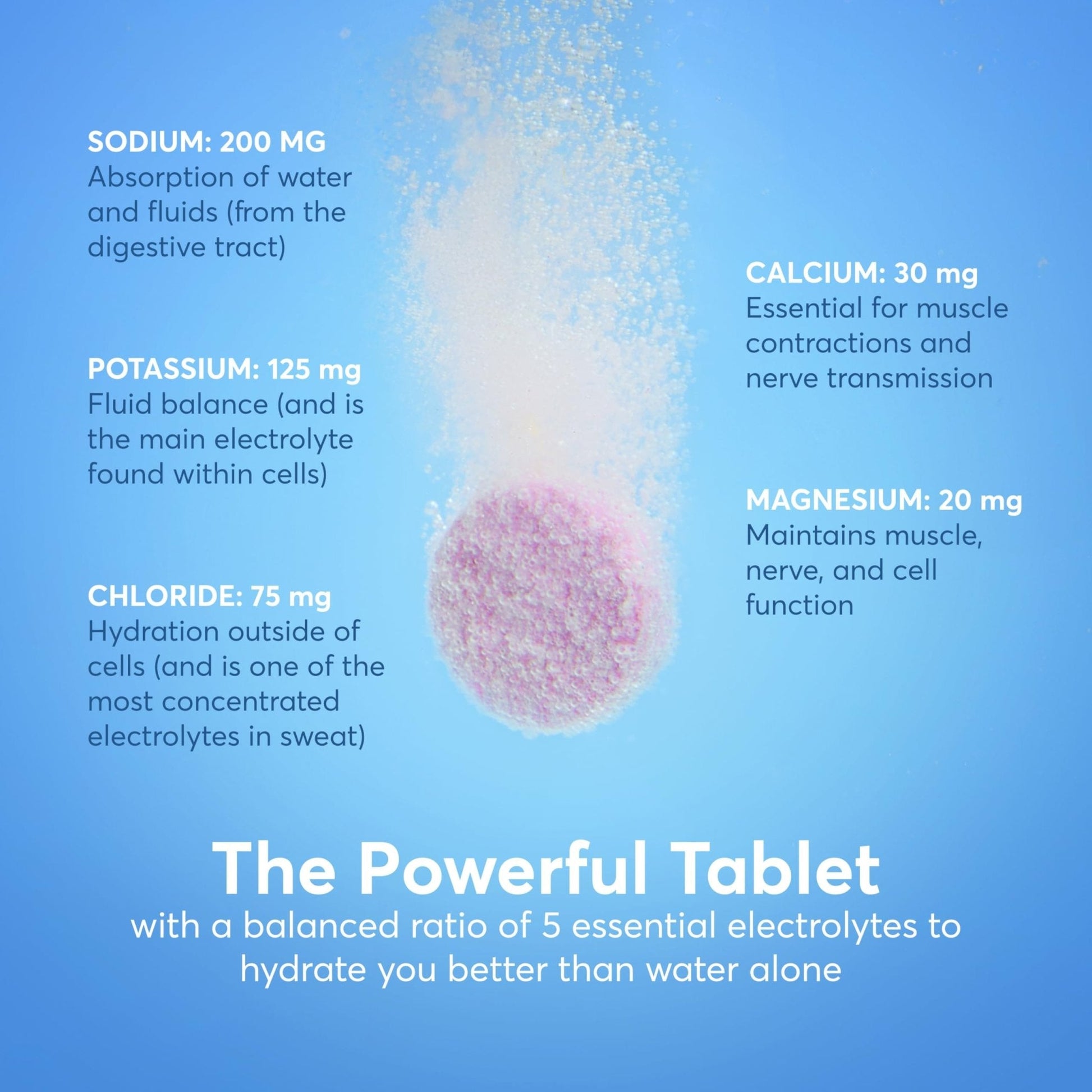 Nuun Zero Sugar Hydration Electrolyte Tablets - Magnesium, Calcium, Potassium, Chloride & Sodium, Light & Delicious Fruit Flavors, No Sugar, Gluten Free, Vegan - Maple Wellness Supplements