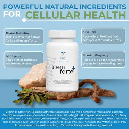 NuVi Global Stemforte Plus Stem Cell and Telomere Supplements – Cell Regeneration, Cell Growth & Telomere Support for Healthy Aging & Cellular Health – 90 Capsules for Men & Women - Maple Wellness Supplements