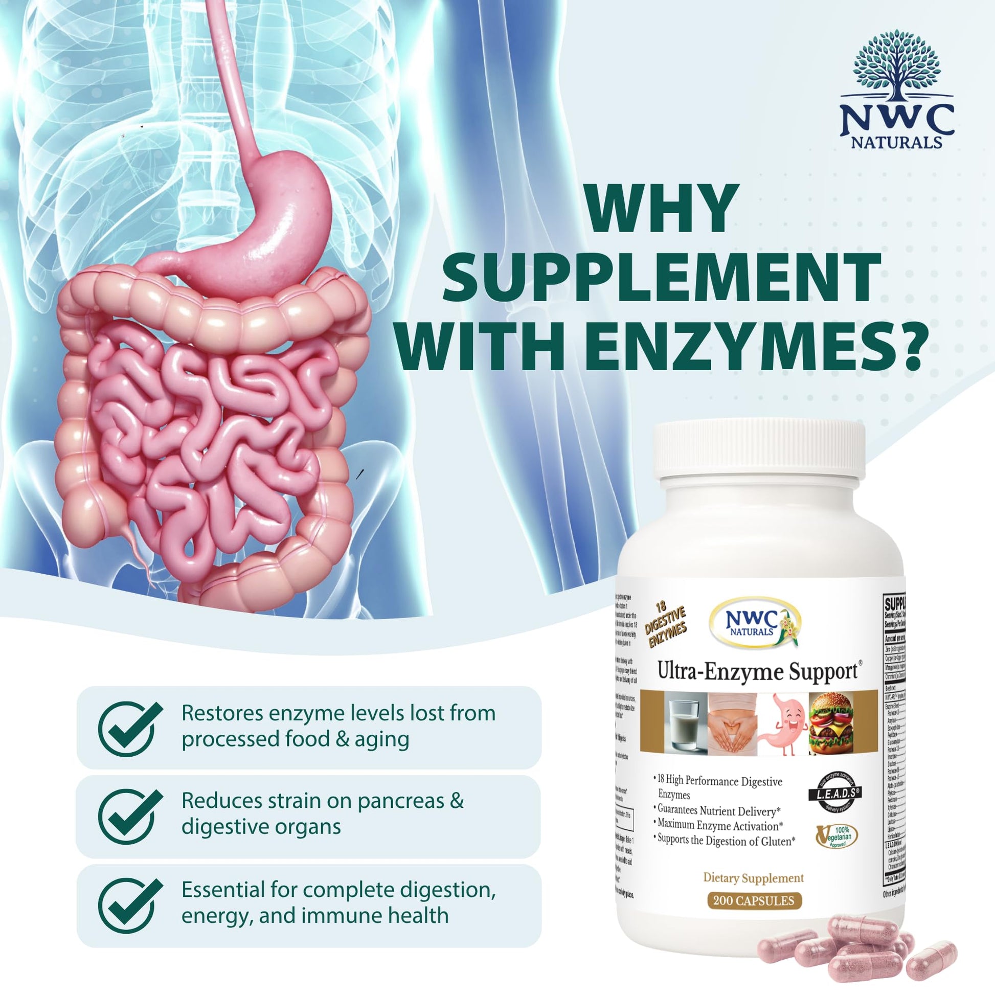 NWC Naturals Ultra-Enzyme Support, Natural Digestive Supplement, Promotes Optimal Health and Digestion, 200 count Capsules - Maple Wellness Supplements
