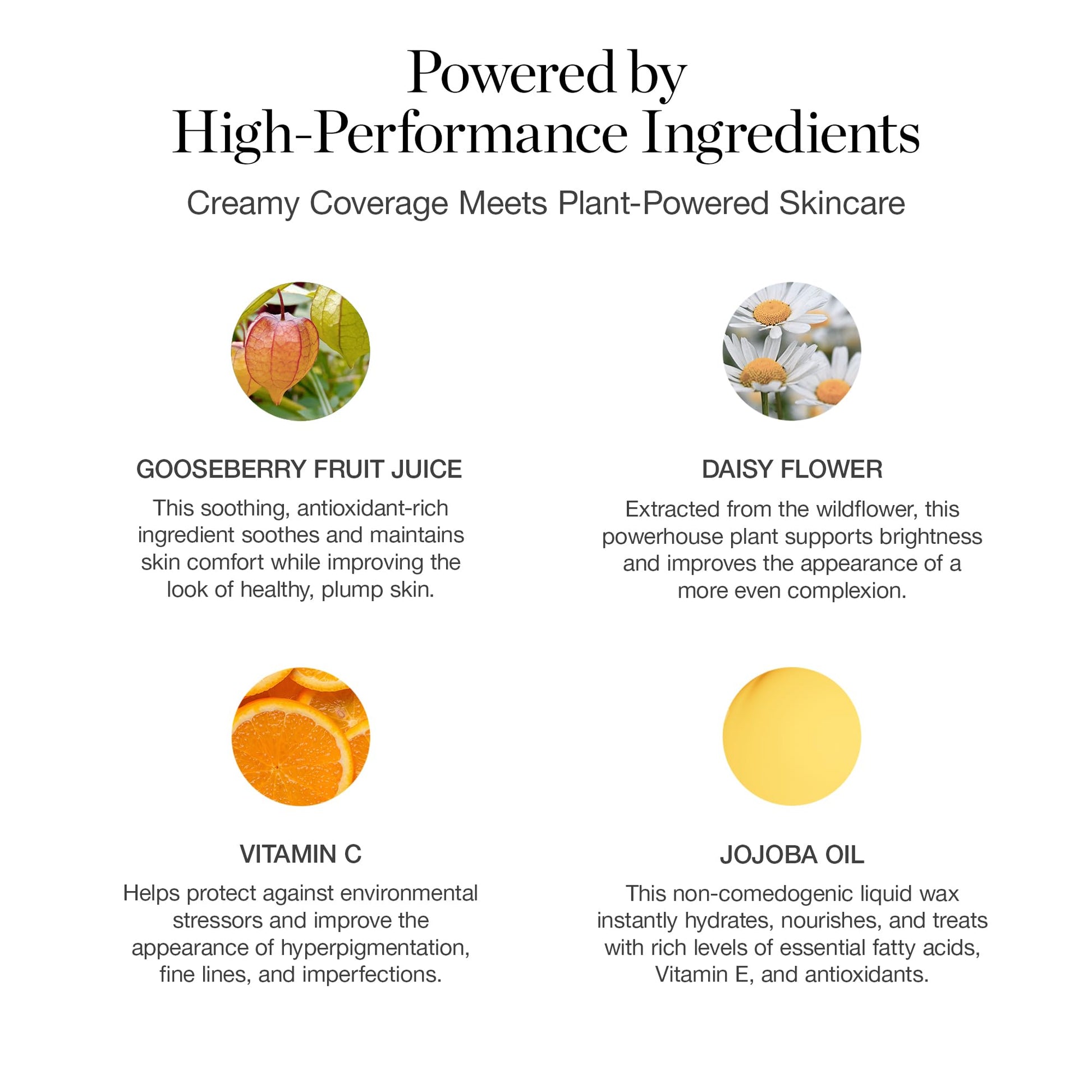 Ogee Complexion Perfecting Liquid Foundation - Lightweight Tinted Moisturizer For Face (Mahogany 14.5N - Deep Cocoa (Rich Undertones) - with Vitamin C & Jojoba Oil - Certified Organic & Made in USA - Maple Wellness Supplements