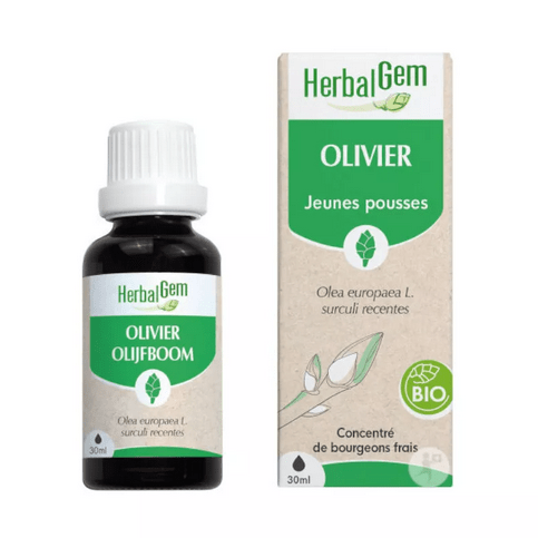 Olivier BIO Macérat mère 30 ml HERBALGEM - Maple Wellness Supplements