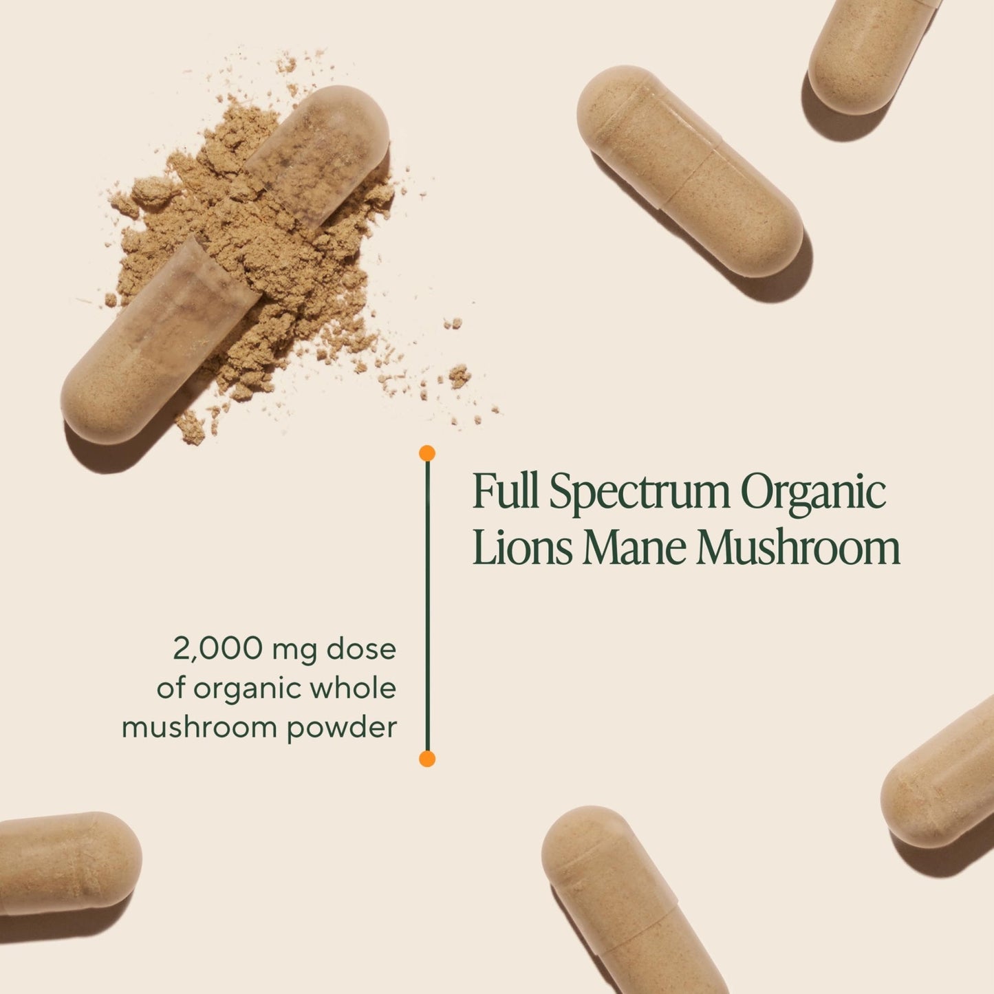 Om Lion’s Mane Mushroom Capsules - Organic Mushroom Supplement and Nootropic - Brain Supplements for Memory and Focus, 180 Count (60 Servings) - Maple Wellness Supplements