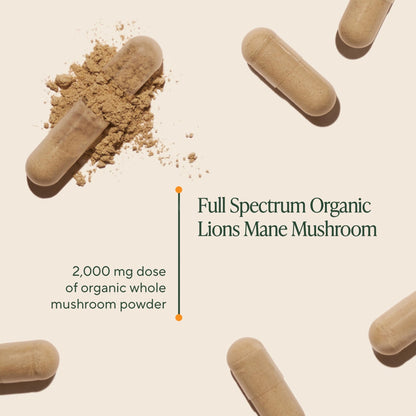 Om Lion’s Mane Mushroom Capsules - Organic Mushroom Supplement and Nootropic - Brain Supplements for Memory and Focus, 180 Count (60 Servings) - Maple Wellness Supplements