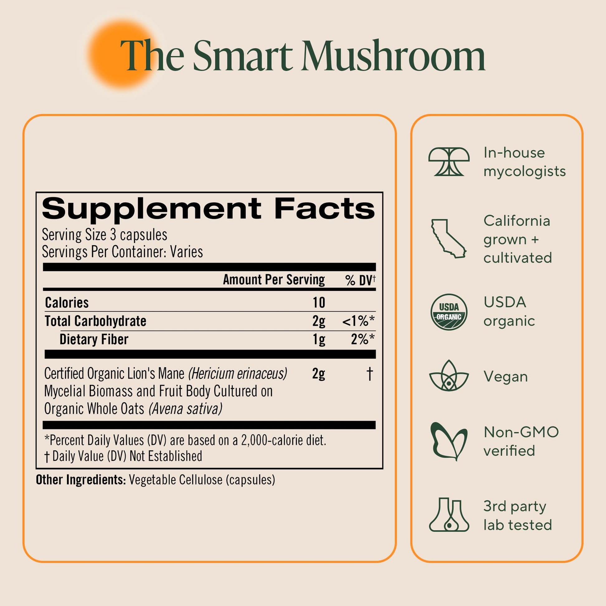Om Lion’s Mane Mushroom Capsules - Organic Mushroom Supplement and Nootropic - Brain Supplements for Memory and Focus, 180 Count (60 Servings) - Maple Wellness Supplements