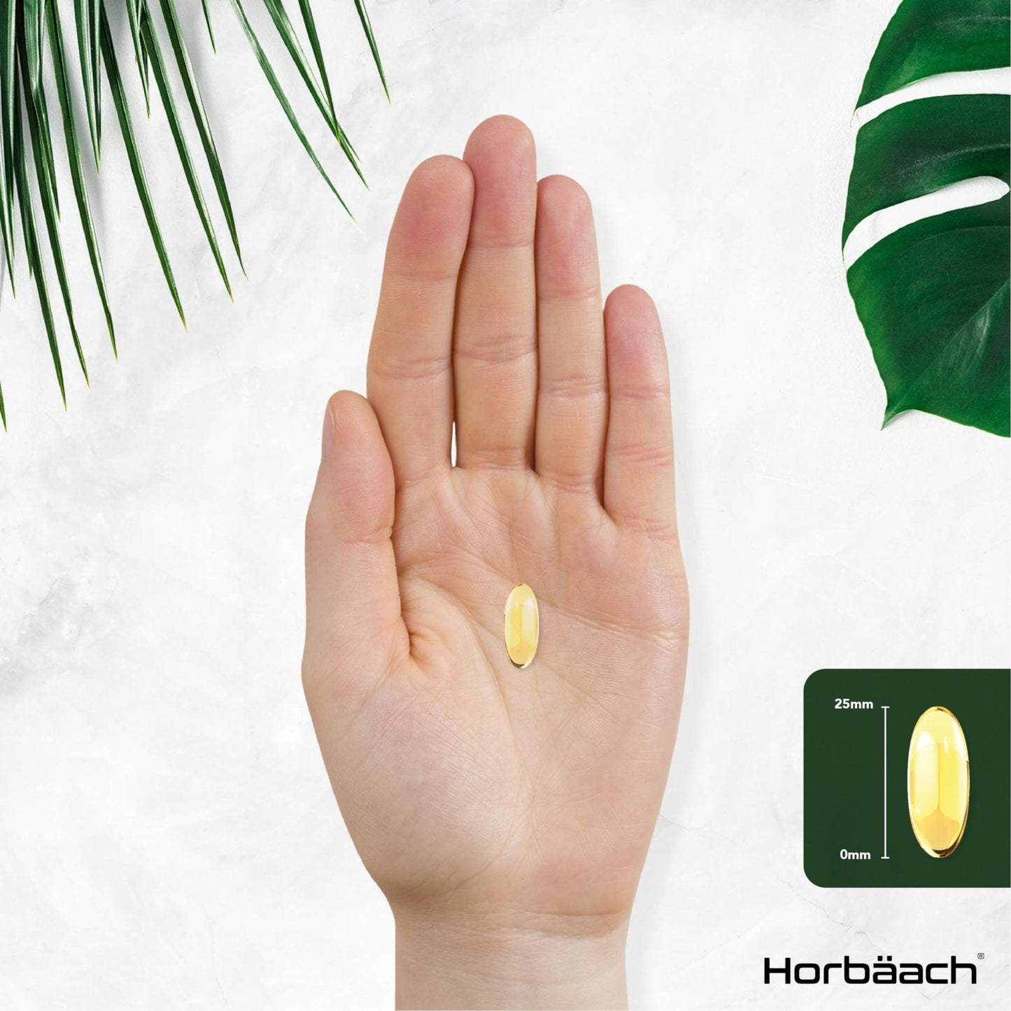 Omega 3 6 9 Capsules High Strength | 3000mg | 120 Softgels | Triple Omega 369 - Maple Wellness Supplements