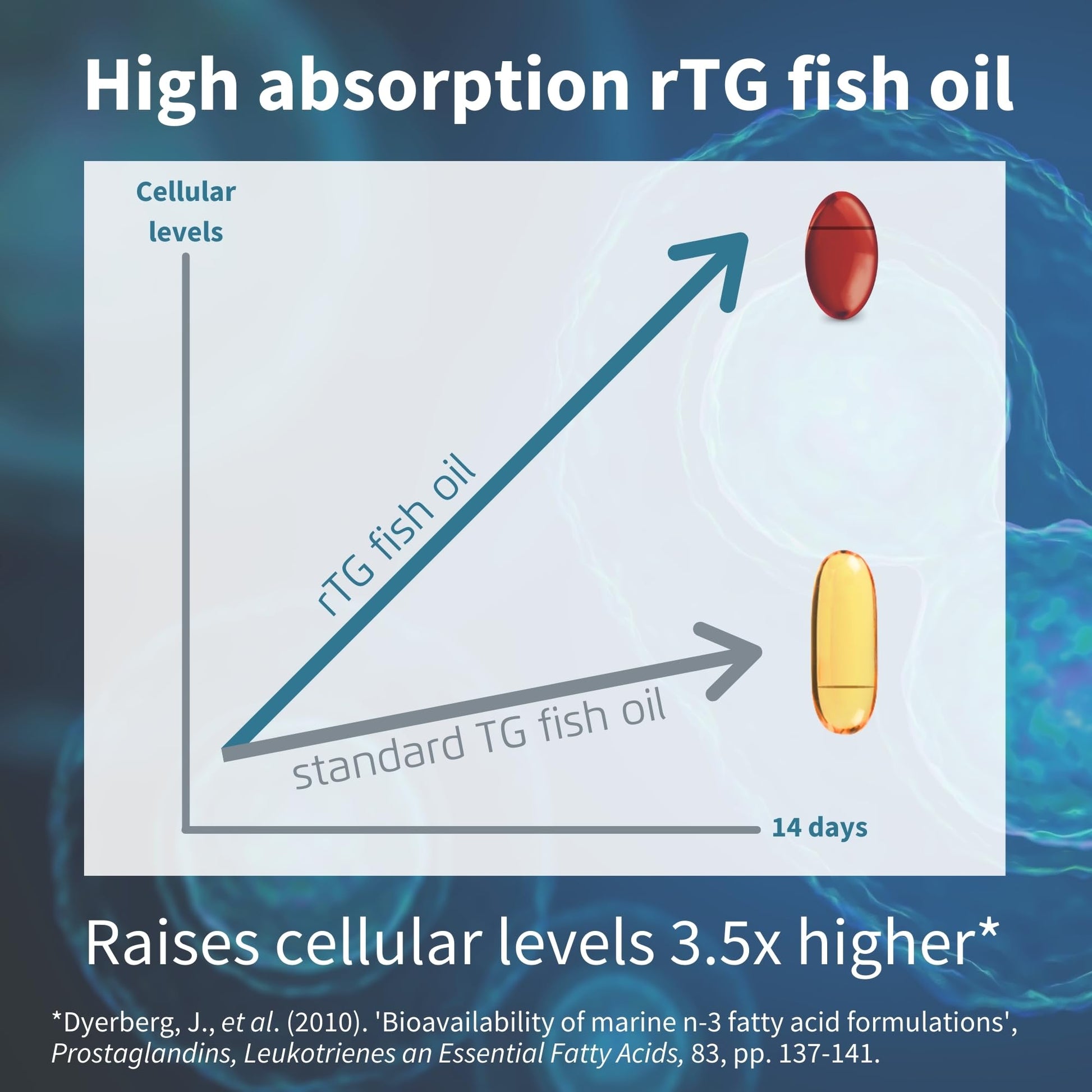 Omega-3 Wild Fish Oil & Astaxanthin, The Most Advanced High Absorption rTG Omega-3 - Maple Wellness Supplements