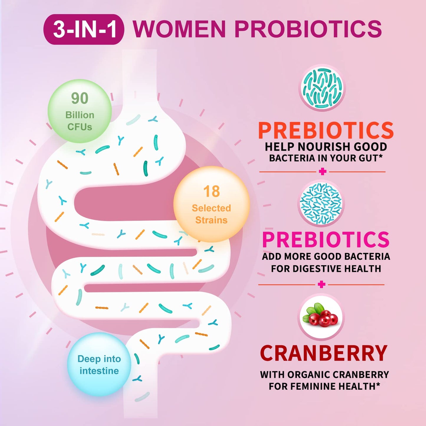 OMOGS Women's Probiotic, with Cranberry Extract, Organic Prebiotics & Vitamin C, 90 Billion CFUs,18 Strains, Help for Boost Immune, Digestive, Gut Health & Women's Health - Maple Wellness Supplements