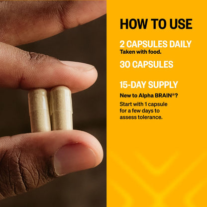 ONNIT Alpha Brain Capsules for Men & Women, IGEN Non-GMO Tested Memory, Focus & Mental Clarity Support with L-Theanine - Maple Wellness Supplements