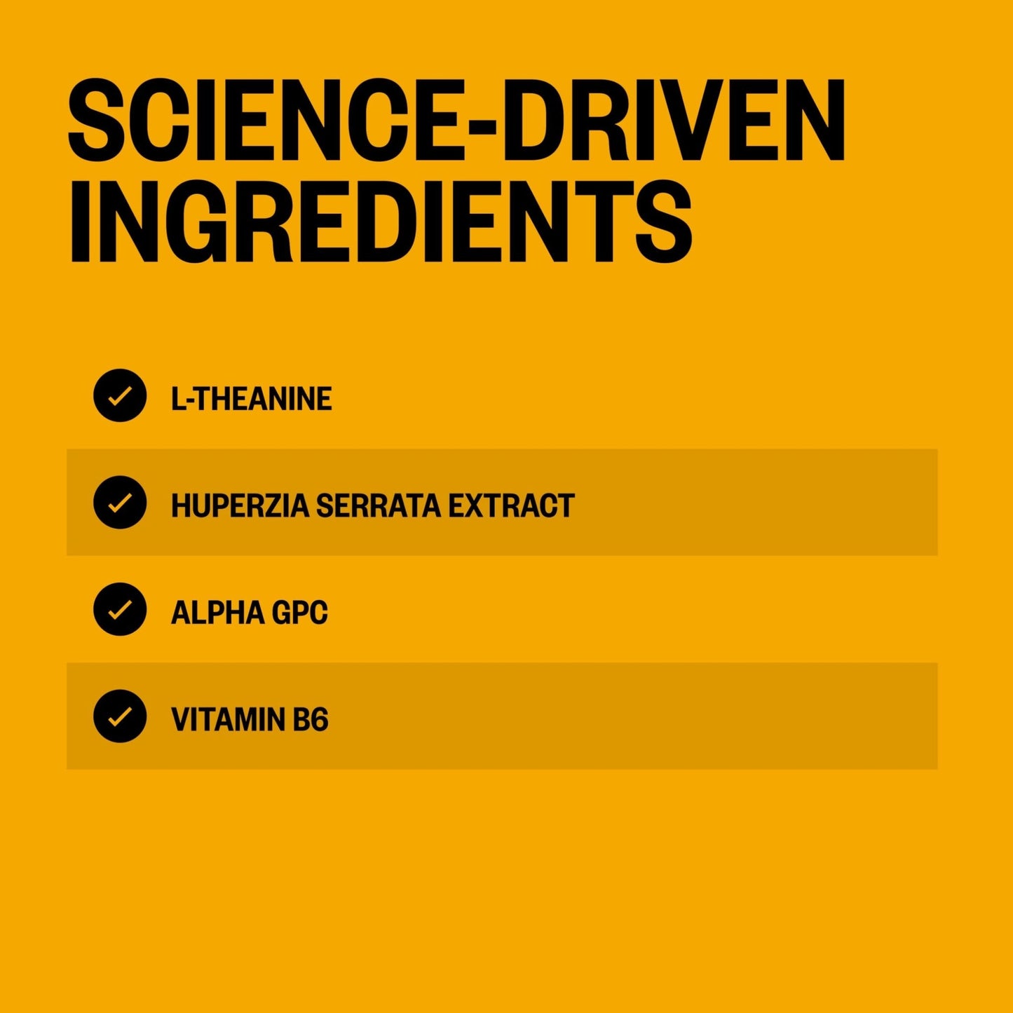 ONNIT Alpha Brain Instant Cognitive Support Drink Mix, BlackBerry Lemonade Flavor, Nootropic Supplement for Focus, Memory, and Clarity, 0.13 oz Packets, 30 Count - Maple Wellness Supplements