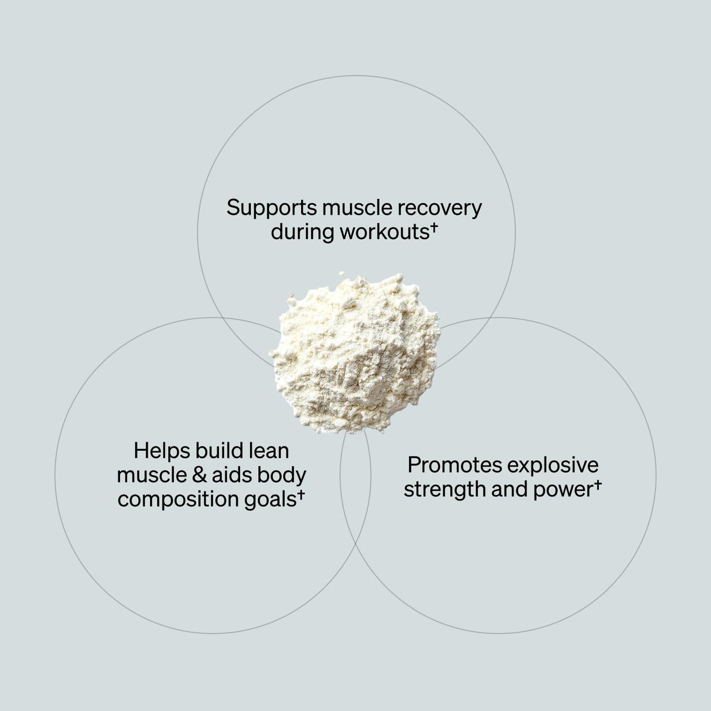 ONNIT Creatine Monohydrate Powder – Unflavored, 90-Serving Value Size – Supports Strength, Lean Muscle, and Brain Energy† – Keto Friendly, No Fillers, 90 Servings, 15.29 oz - Maple Wellness Supplements