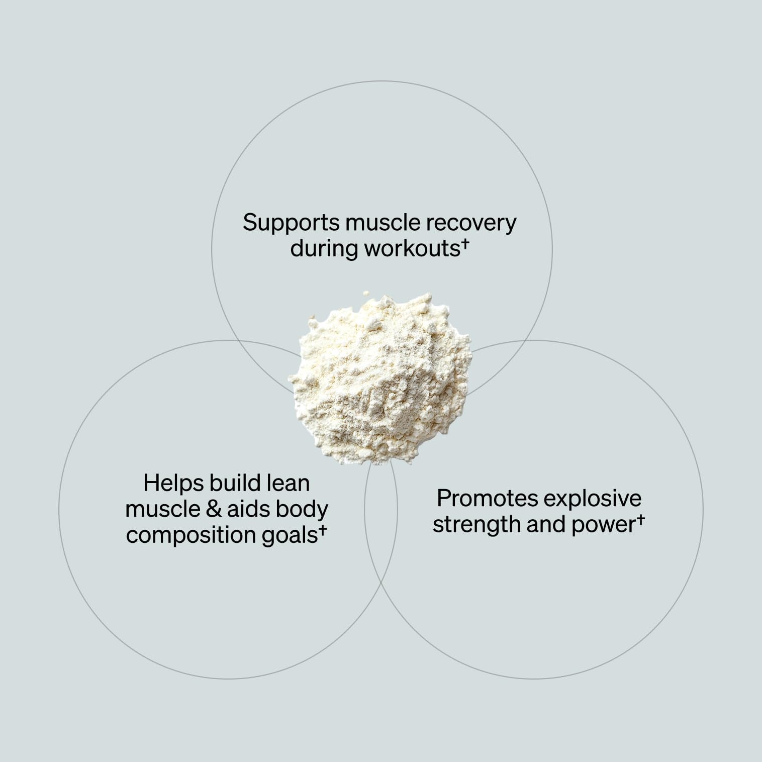ONNIT Creatine Monohydrate Powder – Unflavored, 90-Serving Value Size – Supports Strength, Lean Muscle, and Brain Energy† – Keto Friendly, No Fillers, 90 Servings, 15.29 oz - Maple Wellness Supplements