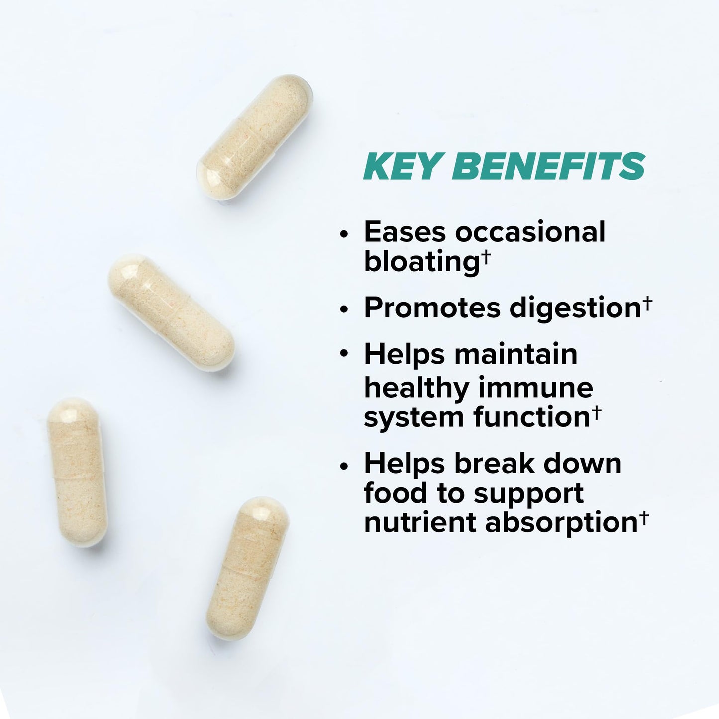 ONNIT Total Gut Health Daily Digestive Support, IGEN Non-GMO Tested Digestion Supplement for Women and Men with 7 Strains of Probiotics, Prebiotics, - Maple Wellness Supplements