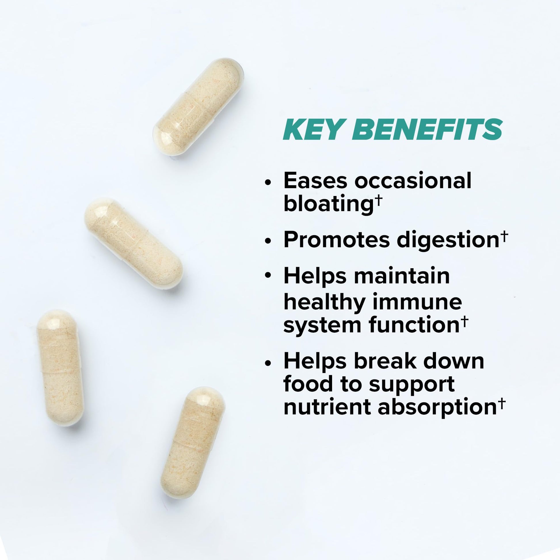ONNIT Total Gut Health Daily Digestive Support, IGEN Non-GMO Tested Digestion Supplement for Women and Men with 7 Strains of Probiotics, Prebiotics, - Maple Wellness Supplements