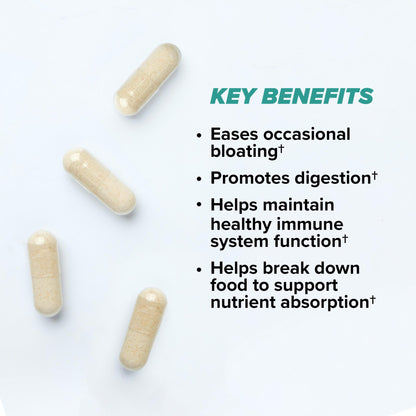 ONNIT Total Gut Health Daily Digestive Support, IGEN Non-GMO Tested Digestion Supplement for Women and Men with 7 Strains of Probiotics, Prebiotics, - Maple Wellness Supplements