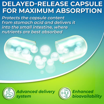 Optimal DIM 200mg Supplement for Women and Men - Made with Organic Whole Foods - Estrogen & Hormone Balance Support Diindolylmethane Complex - Maximum Absorption Delayed-Release Capsules - 60 Count - Maple Wellness Supplements