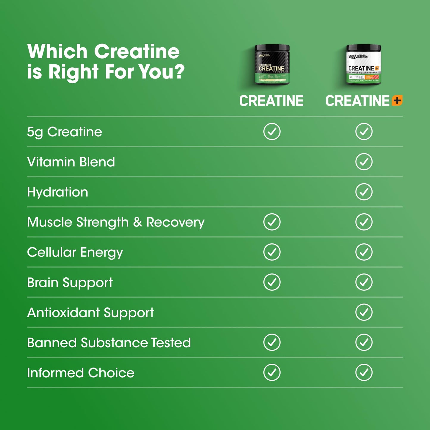 Optimum Nutrition Creatine Monohydrate Plus Powder, Orange Passionfruit Flavored Creatine Performance Blend With Electrolytes for Hydration, Added Vitamins, 40 Servings, 360 Grams (Packaging May Vary) - Maple Wellness Supplements