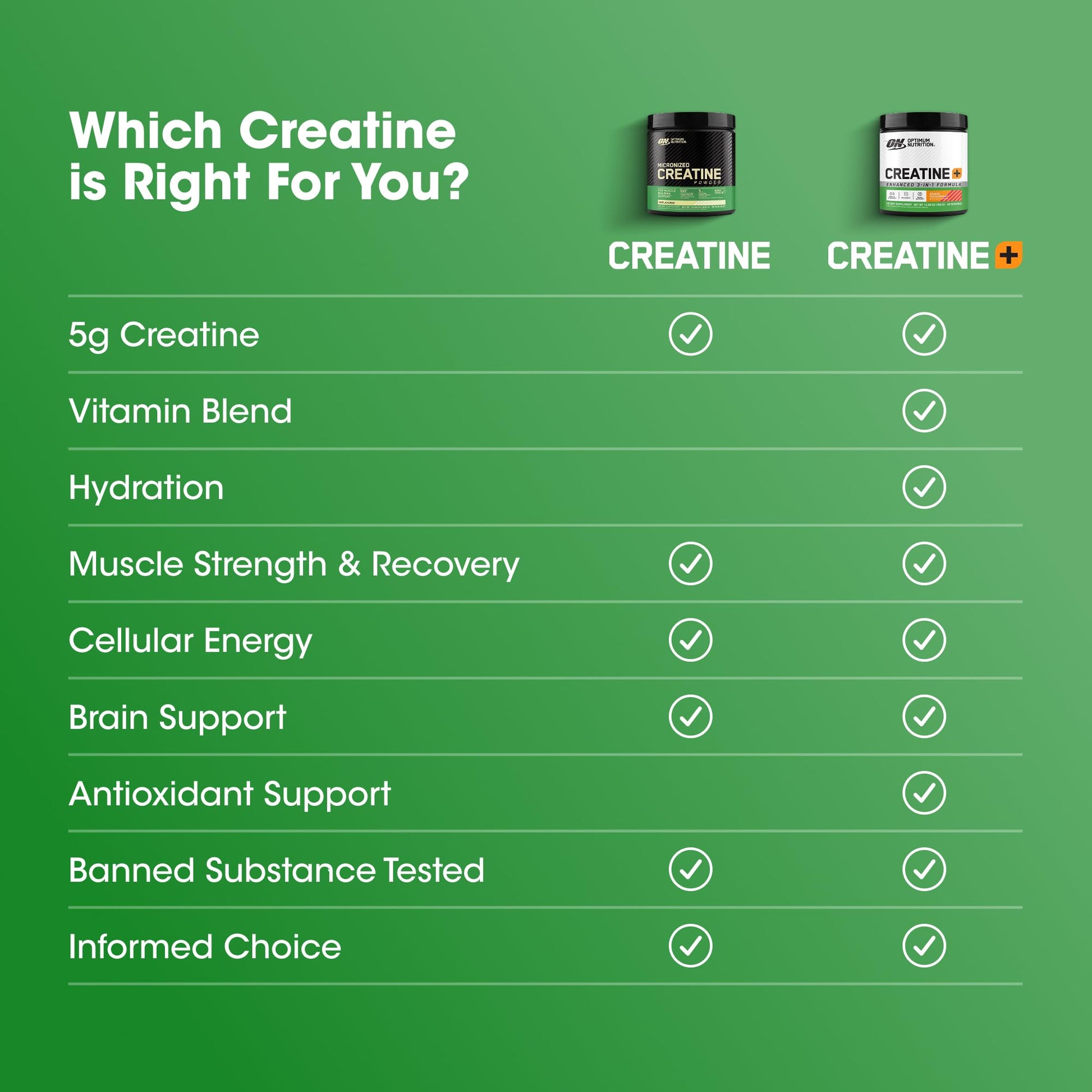 Optimum Nutrition Creatine Monohydrate Plus Powder, Orange Passionfruit Flavored Creatine Performance Blend With Electrolytes for Hydration, Added Vitamins, 40 Servings, 360 Grams (Packaging May Vary) - Maple Wellness Supplements