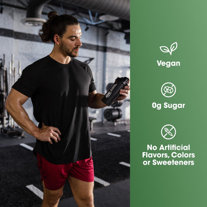 Optimum Nutrition Gold Standard 100% Plant Based Protein Powder, Gluten Free, Vegan Protein for Muscle Support and Recovery with Amino Acids - Creamy Vanilla, 20 Servings (Packaging May Vary) - Maple Wellness Supplements