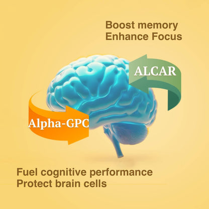 OPTINOURISH Brain Supplement for Memory and Focus, Nootropic for Adults, Fuel Brain Energy & Mental Clarity, Caffeine Free,Cognitive Support, Doctor-Formulated, Made in USA,cGMP,120 Caps - Maple Wellness Supplements