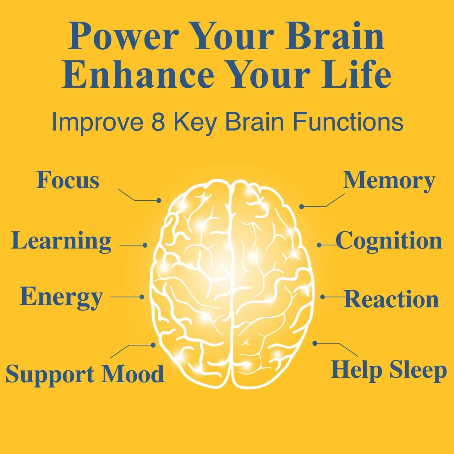 OPTINOURISH Brain Supplement for Memory and Focus, Nootropic for Adults, Fuel Brain Energy & Mental Clarity, Caffeine Free,Cognitive Support, Doctor-Formulated, Made in USA,cGMP,120 Caps - Maple Wellness Supplements