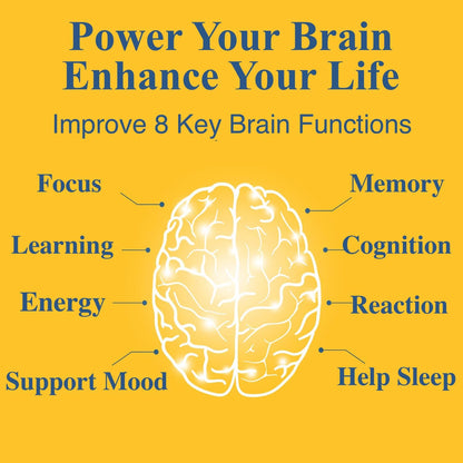 OPTINOURISH Brain Supplement for Memory and Focus, Nootropic for Adults, Fuel Brain Energy & Mental Clarity, Caffeine Free,Cognitive Support, Doctor-Formulated, Made in USA,cGMP,120 Caps - Maple Wellness Supplements