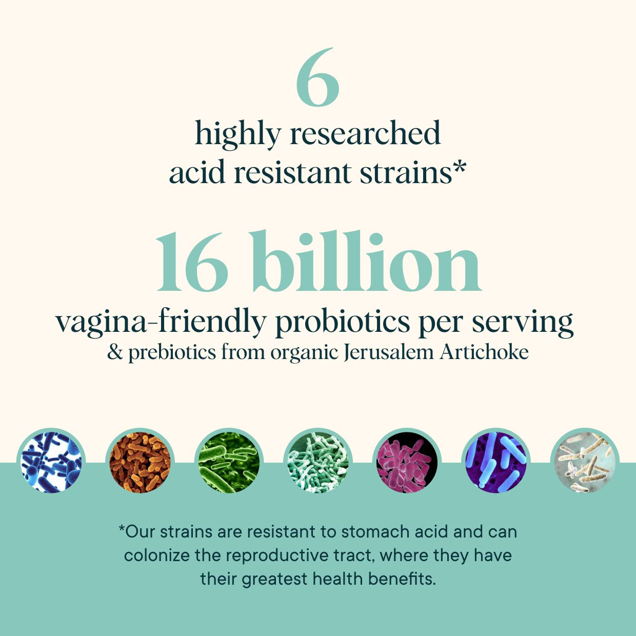Ora Organic Probiotic for Women with L. crispatus, 6 Clinically Studied Lactobacillus Strains for Vaginal, pH & Urinary Tract Health, - Maple Wellness Supplements