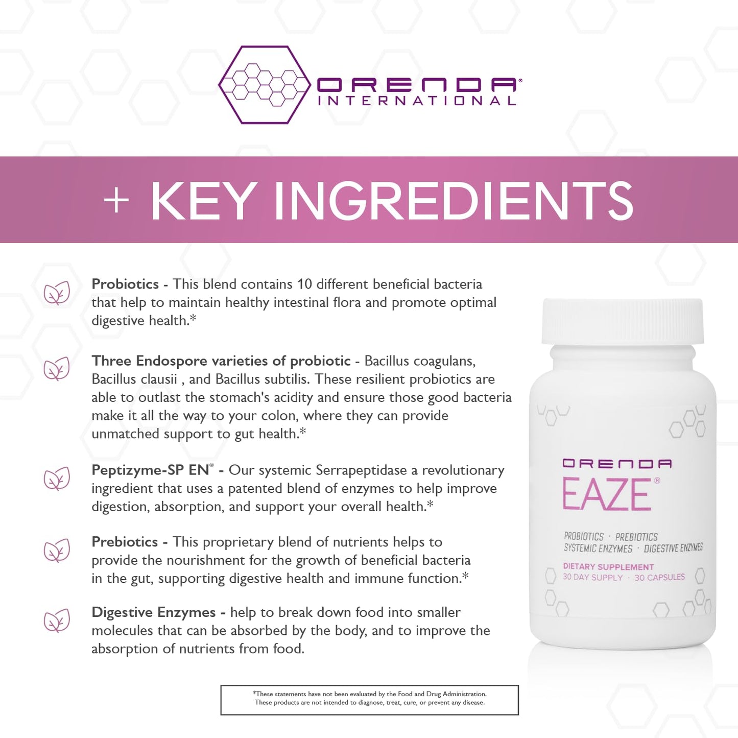 Orenda Eaze®: Gut Wellness Capsules | 6-in-1 Digestive Support with Probiotics, Endospores, Peptizyme-SP EN, Prebiotics, and Digestive Enzymes - Maple Wellness Supplements