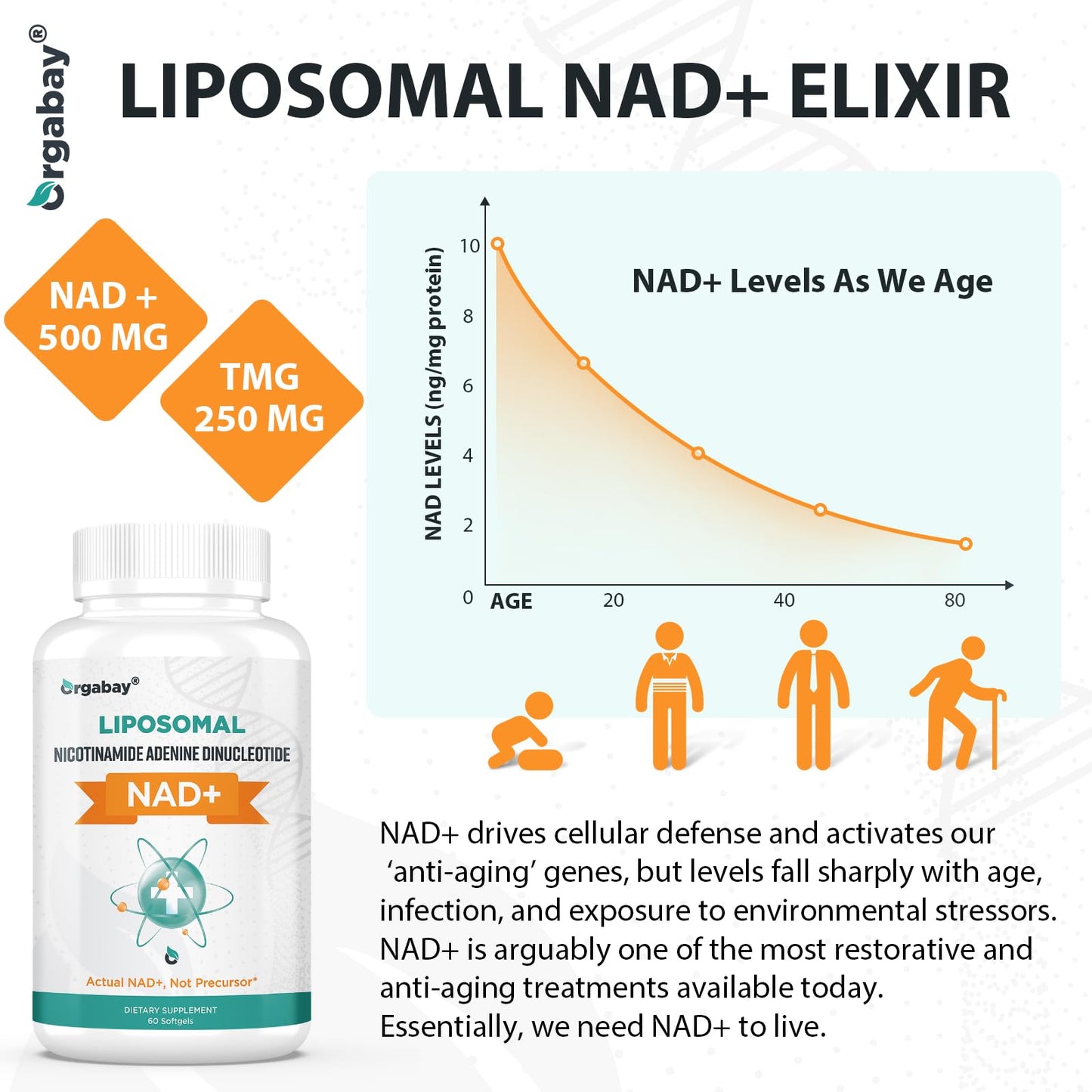 Orgabay Liposomal NAD+ Supplement 500 mg, High Absorption, Boost NAD+ with TMG 250 mg, Actual NAD Plus More Efficient Than Nicotinamide Riboside, Support Cellular Energy, Healthy Aging | 240 Softgels - Maple Wellness Supplements