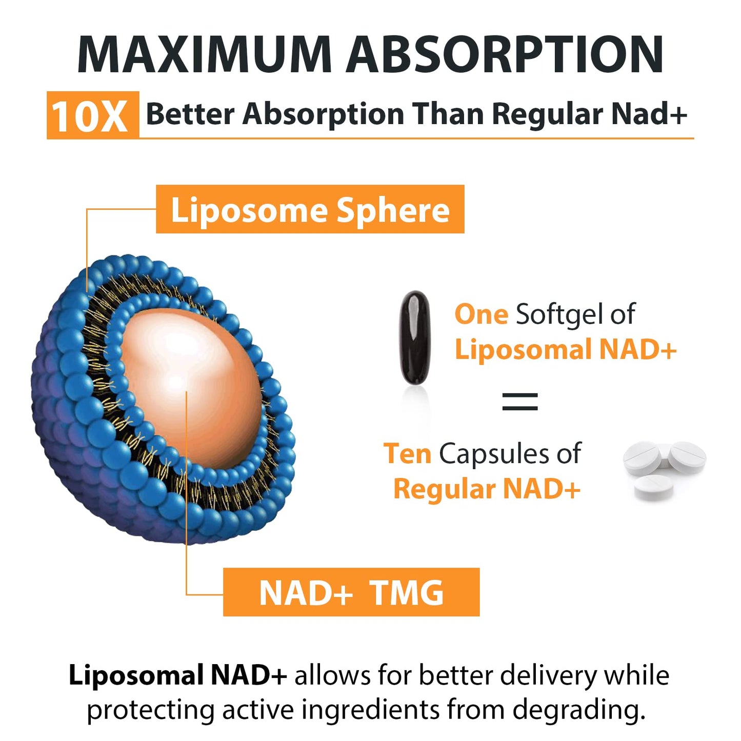 Orgabay Liposomal NAD+ Supplement 500 mg, High Absorption, Boost NAD+ with TMG 250 mg, Actual NAD Plus More Efficient Than Nicotinamide Riboside, Support Cellular Energy, Healthy Aging | 60 Softgels - Maple Wellness Supplements