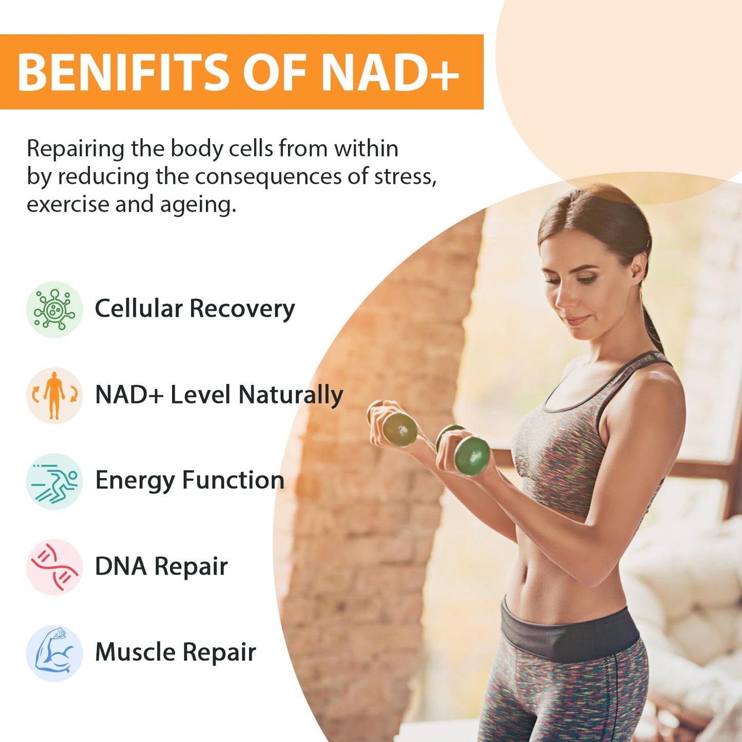 Orgabay Liposomal NAD+ Supplement 500 mg, High Absorption, Boost NAD+ with TMG 250 mg, Actual NAD Plus More Efficient Than Nicotinamide Riboside, Support Cellular Energy, Healthy Aging | 240 Softgels - Maple Wellness Supplements
