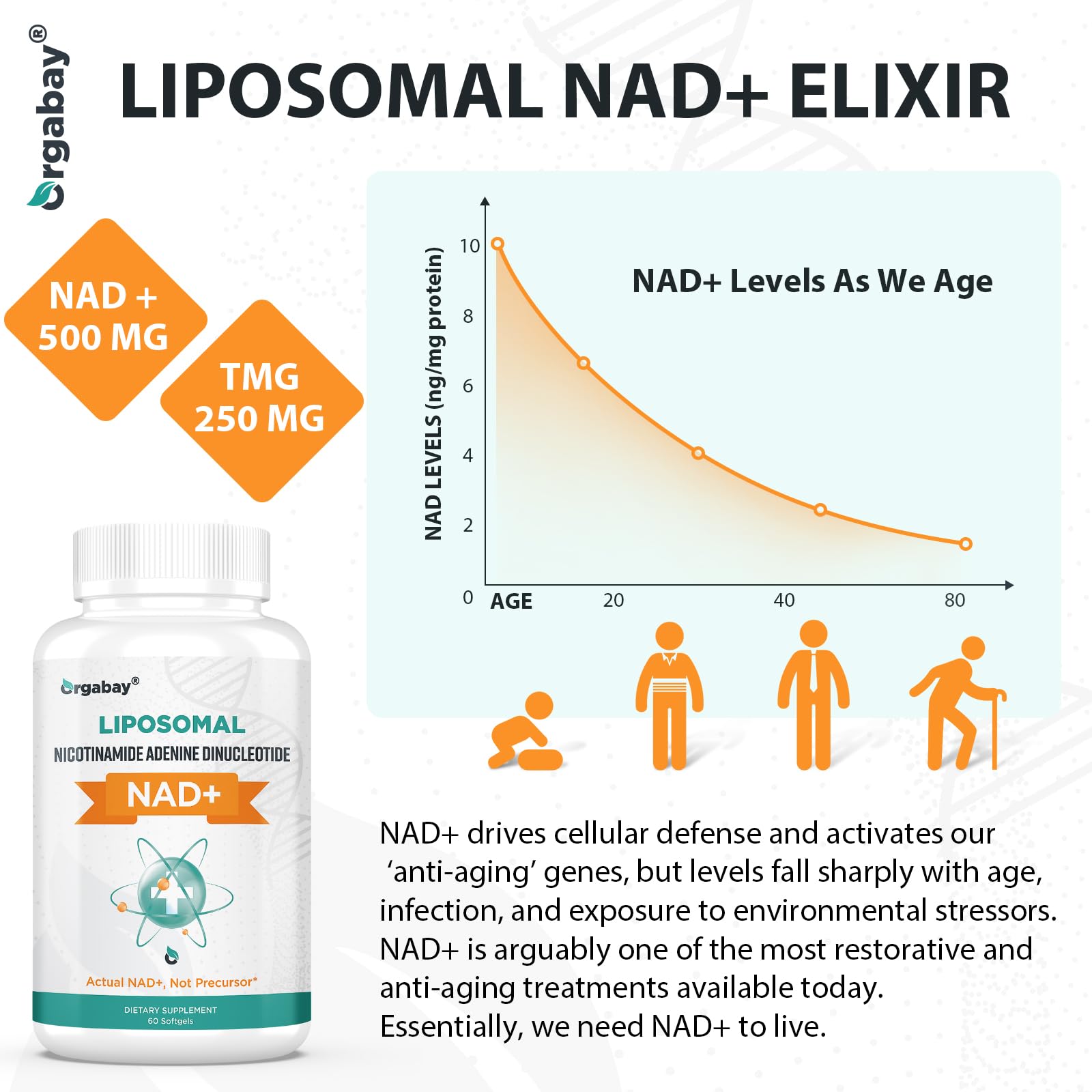 Orgabay Liposomal NAD+ Supplement 500 mg, High Absorption, Boost NAD+ with TMG 250 mg, Actual NAD Plus More Efficient Than Nicotinamide Riboside, Support Cellular Energy, Healthy Aging | 180 Softgels - Maple Wellness Supplements