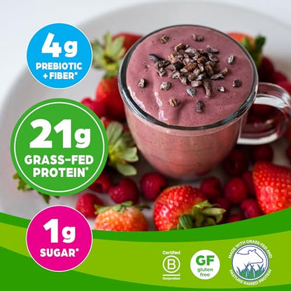 Orgain Whey Protein Powder, Creamy Chocolate Fudge - 21g Grass Fed Dairy Protein - Maple Wellness Supplements