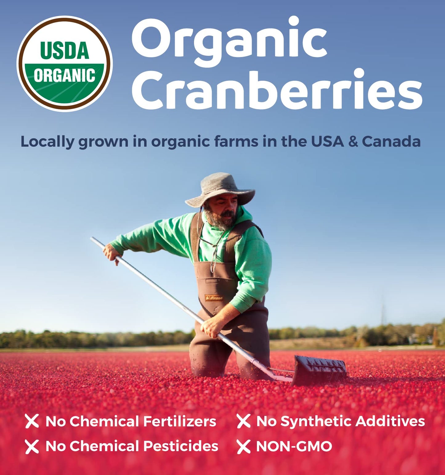 Organic Cranberry Pills - Vegan Supplement for Urinary Tract Health & Kidney Cleanse - Cranberry Pills for Women 500mg 50:1 Cranberry Concentrate Per Serving - Maple Wellness Supplements
