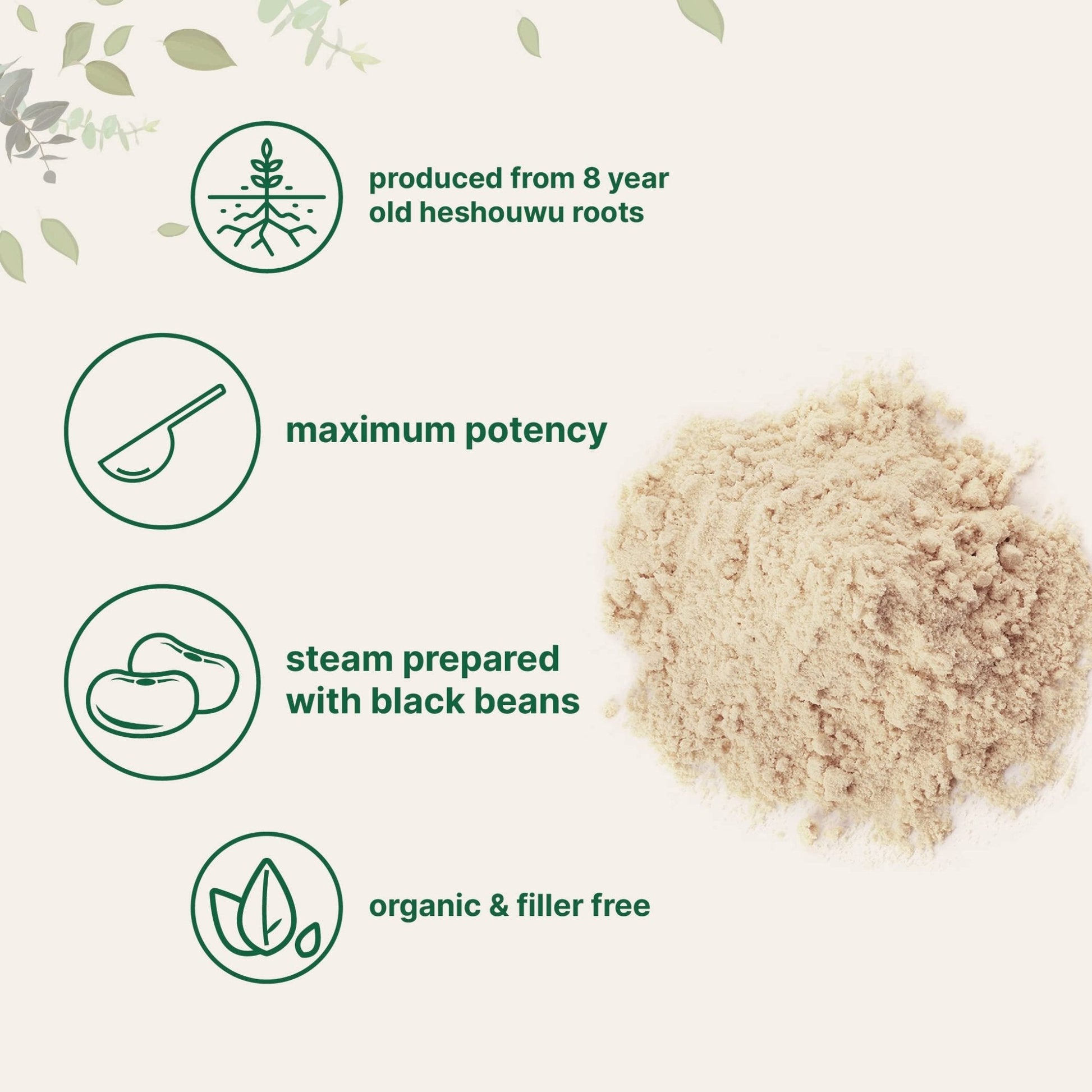 Organic He Shou Wu, Pure Fo Ti Extract Powder, 6 Ounce, Prepared Foti Steaming - Maple Wellness Supplements