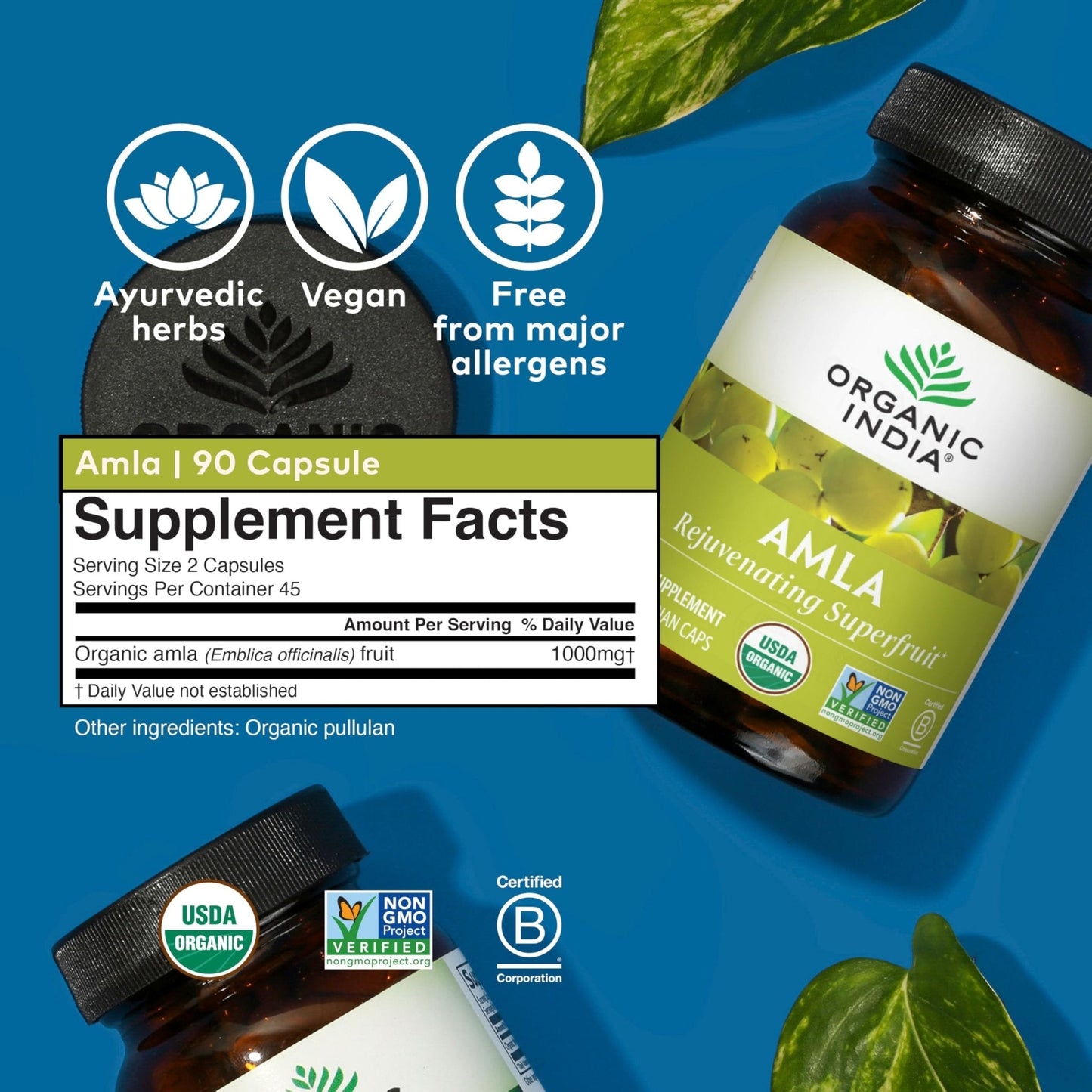 ORGANIC INDIA Amalaki Herbal Vitamin Supplement - Immune Support, Vitamin C, Vegan, Gluten-Free, Kosher, Ayurvedic, Antioxidant - Maple Wellness Supplements